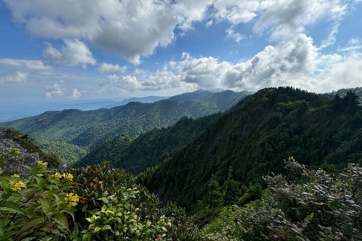 Best of the Smokies: Full-Day Private Guided Adventure