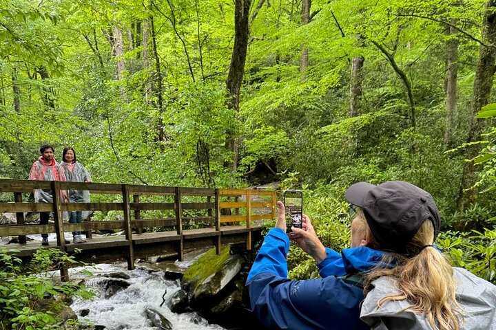 Best of the Smokies: Full-Day Private Guided Adventure