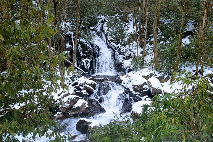 Best of the Smokies: Full-Day Private Guided Adventure