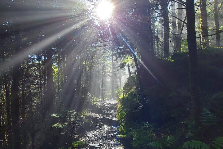 Best of the Smokies: Full-Day Private Guided Adventure