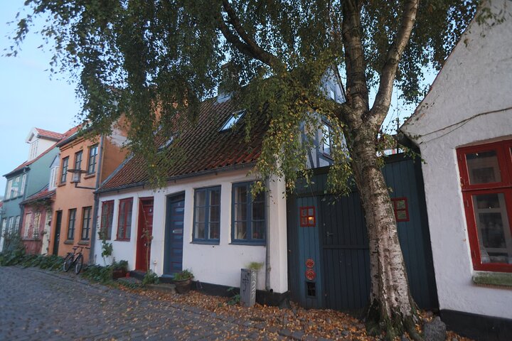 Aarhus Walking Tour: From Viking Village to Metropolis