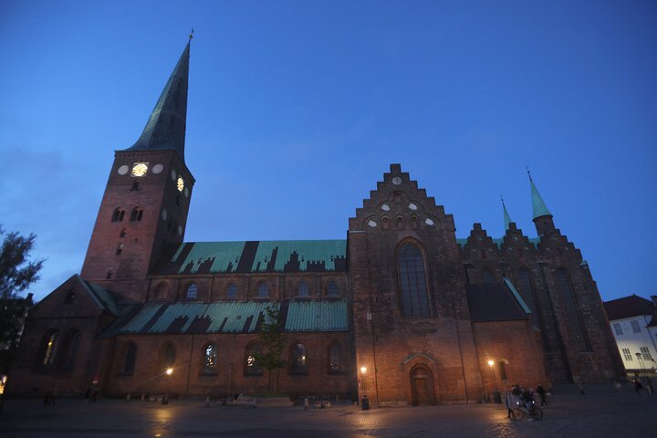 Aarhus Walking Tour: From Viking Village to Metropolis