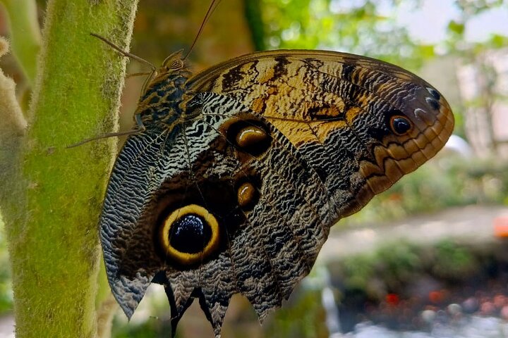 Tour in the Atitlan Nature Reserve