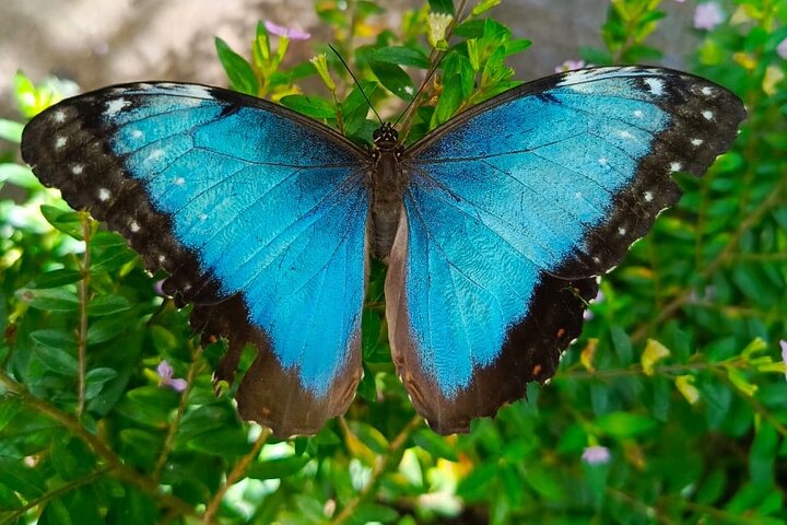 Tour in the Atitlan Nature Reserve