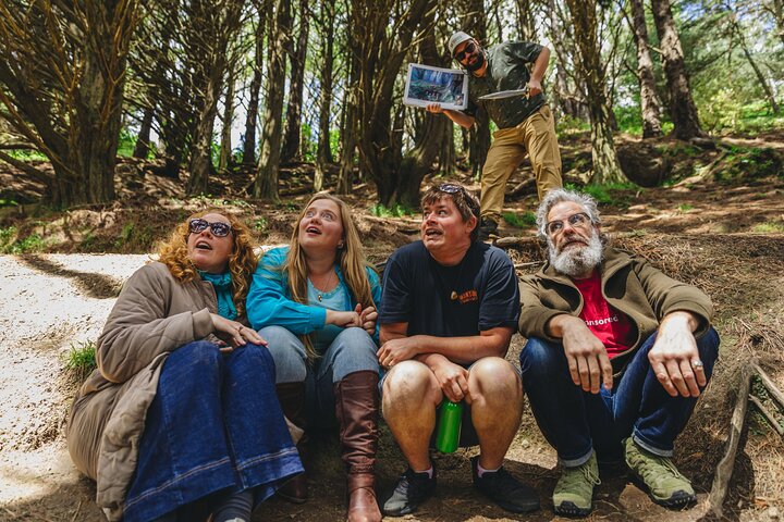 Wellington's Original HD LOTR Experience - includes Weta Tour