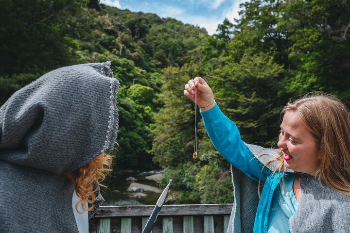 Wellington's Original LOTR Experience - includes Weta and Lunch