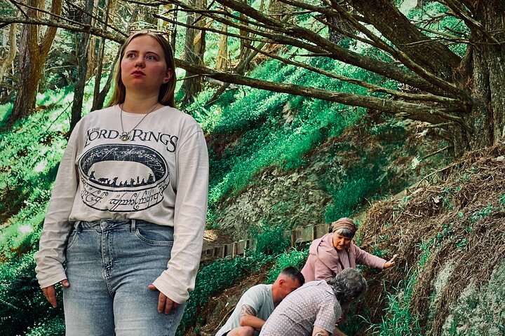 Wellington's Original LOTR Experience - includes Weta and Lunch