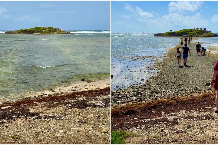 All In One Island Tour of St. Martin | St. Maarten