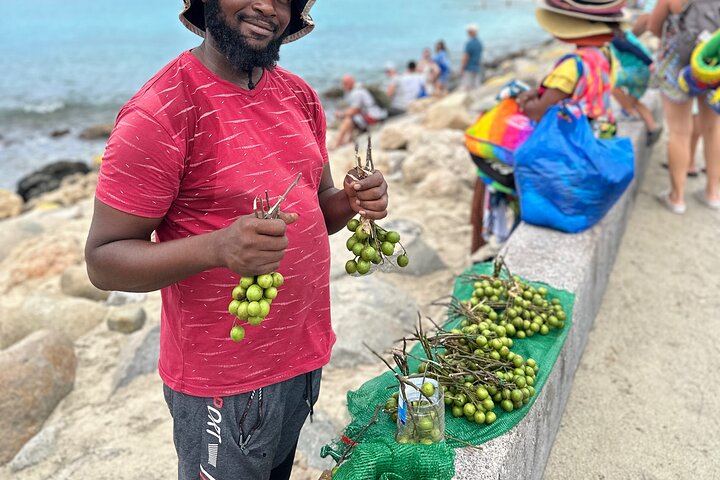 All In One Island Tour of St. Martin | St. Maarten