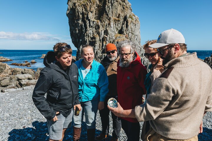 Seal Coast Safari - Exclusive access to Wellington's secret coast