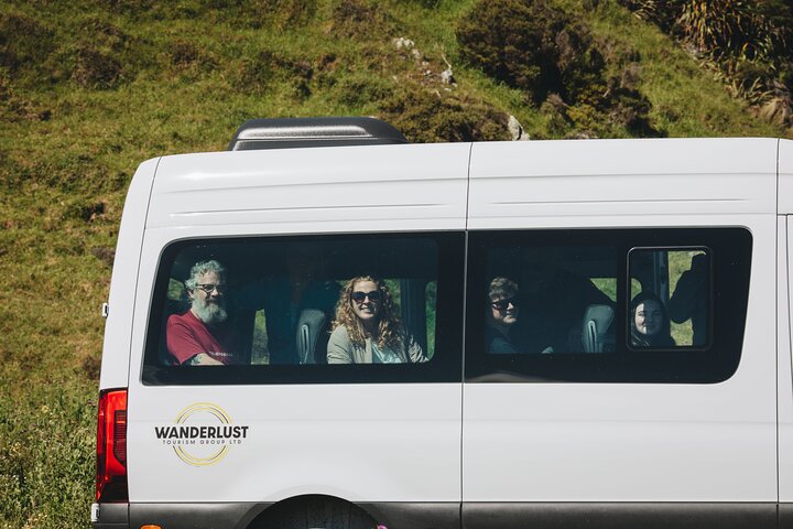 Seal Coast Safari - Exclusive access to Wellington's secret coast