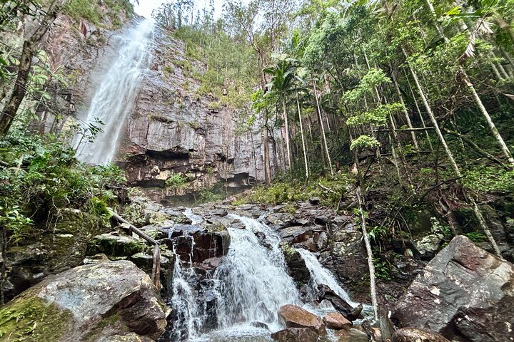 Glow-worms, Waterfalls & Rainforest Experience