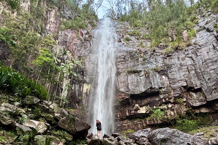 Glow-worms, Waterfalls & Rainforest Experience