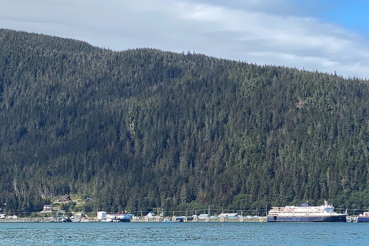 Mendenhall Glacier Waterfall and Whale Watching Tour