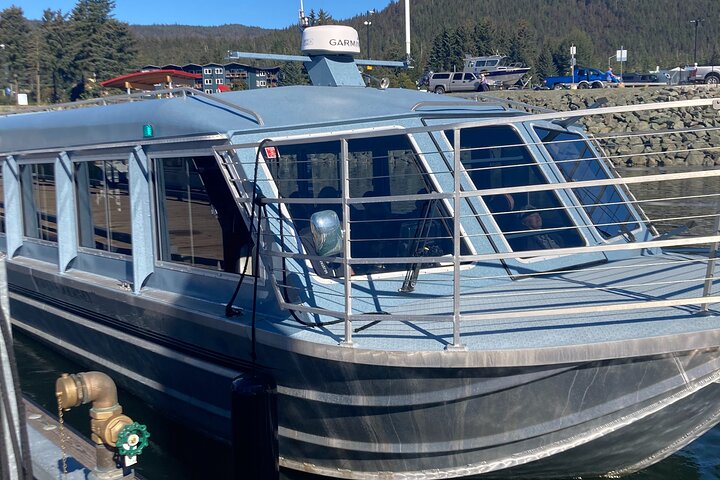 Mendenhall Glacier Waterfall and Whale Watching Tour
