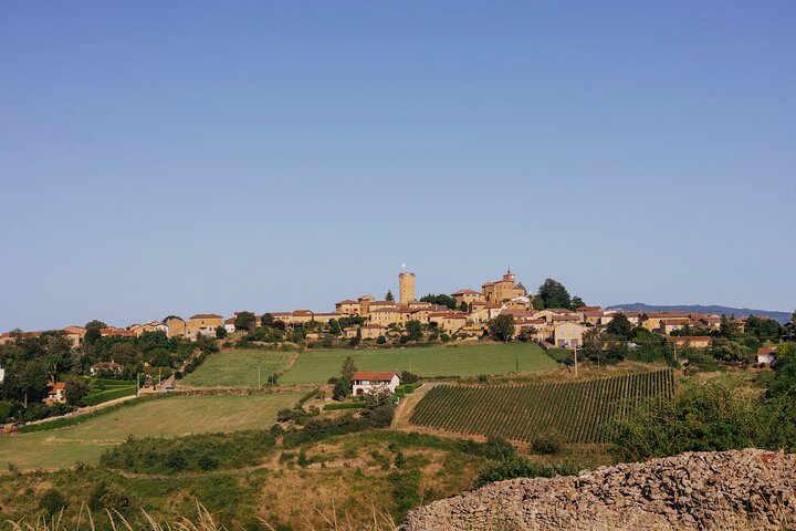Golden stones Beaujolais Wine Tour with Tastings from Lyon