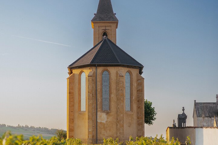 Golden stones Beaujolais Wine Tour with Tastings from Lyon