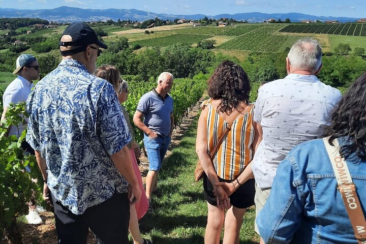 Golden stones Beaujolais Wine Tour with Tastings from Lyon