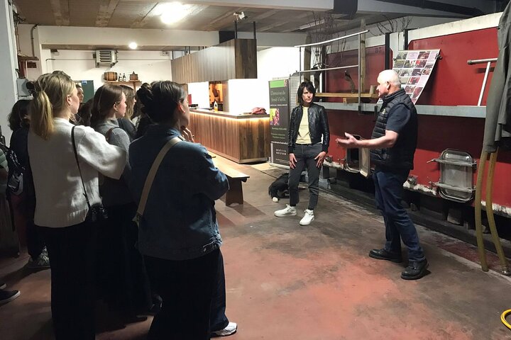 Golden stones Beaujolais Wine Tour with Tastings from Lyon