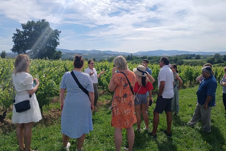 Golden stones Beaujolais Wine Tour with Tastings from Lyon
