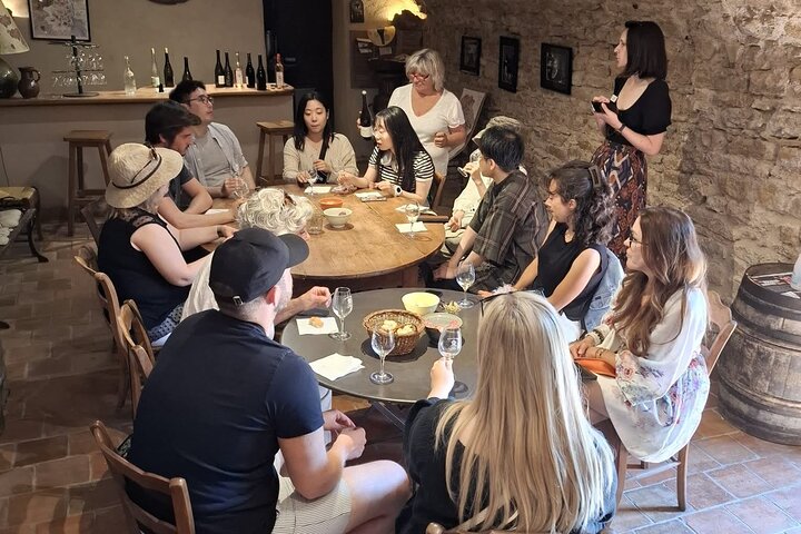 Golden stones Beaujolais Wine Tour with Tastings from Lyon