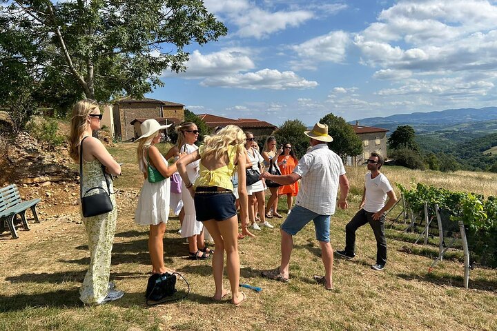 Golden stones Beaujolais Wine Tour with Tastings from Lyon