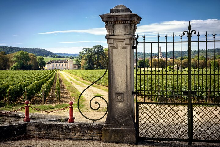 Côte de Nuits Half Day Wine Tour from Dijon