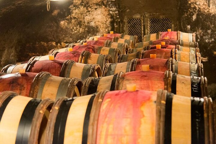 Dijon Wine Tour Côte de Nuits and Côte de Beaune Vineyards