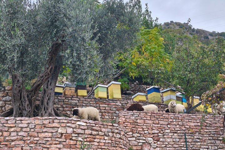 Budva Private Monastery Tour – Coastal Views & Hidden History