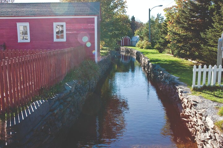 Conception Bay Tour Experience