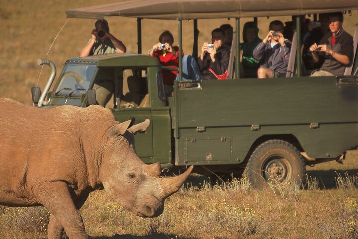 Half-Day Schotia Game Reserve (Open 4x4 Safari Vehicle)