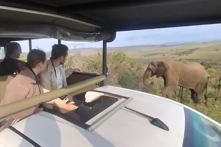 Hluhluwe-Imfolozi Park Full Day Big 5 Safari Tour