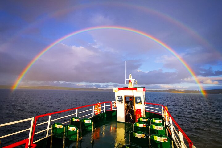 Clew Bay Cruise, Westport ( 90 minutes )