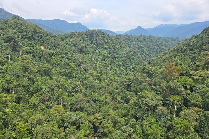 Full-Day Mindo Cloud Forest Tour Birdwatching Waterfalls and Hike
