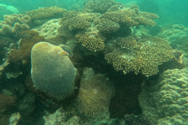 Snorkeling Island Hopping with Cable Car and Lunch