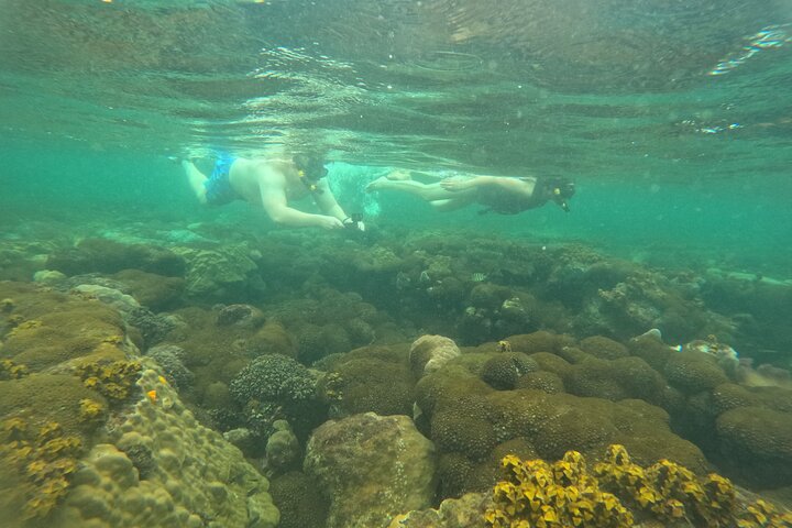 Snorkeling Island Hopping with Cable Car and Lunch