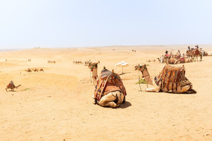Overnight Camel Safari Tour