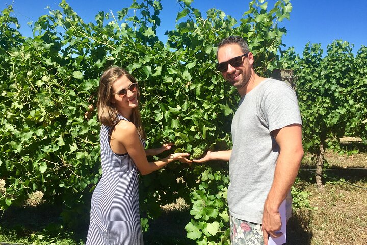 Margaret River Beer & Wine Adventure (departs Margaret River)