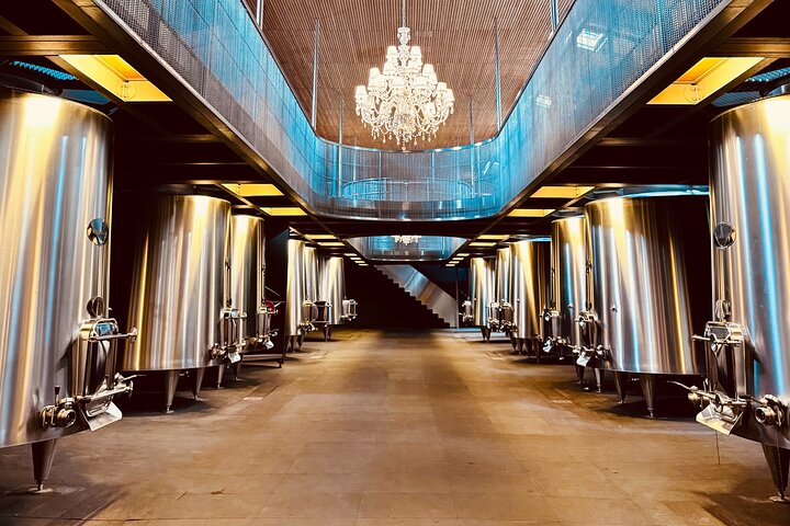 Saint-Émilion & Médoc : Full day with tastings and WSET guide