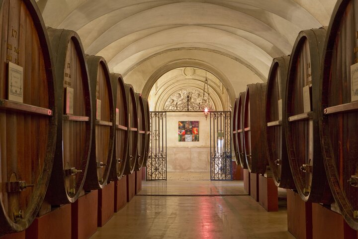 Côte de Beaune Half-Day Wine Tour from Dijon