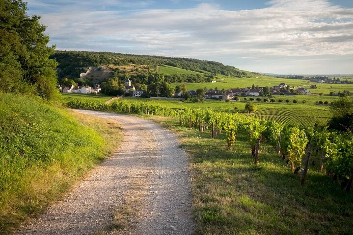 Côte de Nuits Half Day Wine Tour from Dijon