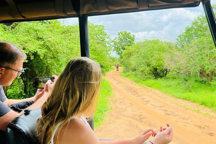 Yala National Park Safari Tours - Half Day & Full Day