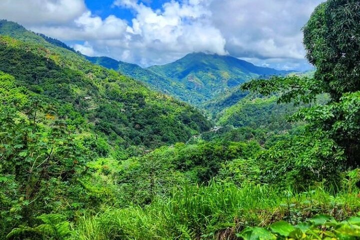 Rio Grande Bamboo Rafting Tour from Port Antonio