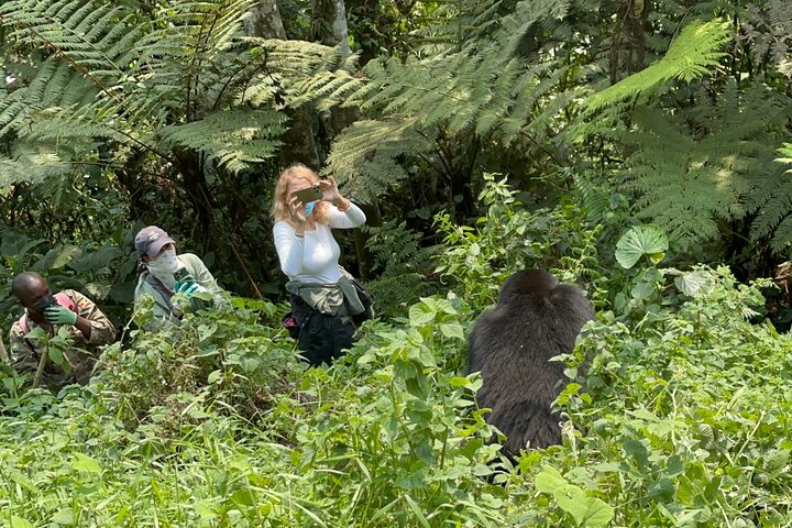 1 Day Gorilla Tracking Trip, Bwindi Impenetrable National Park
