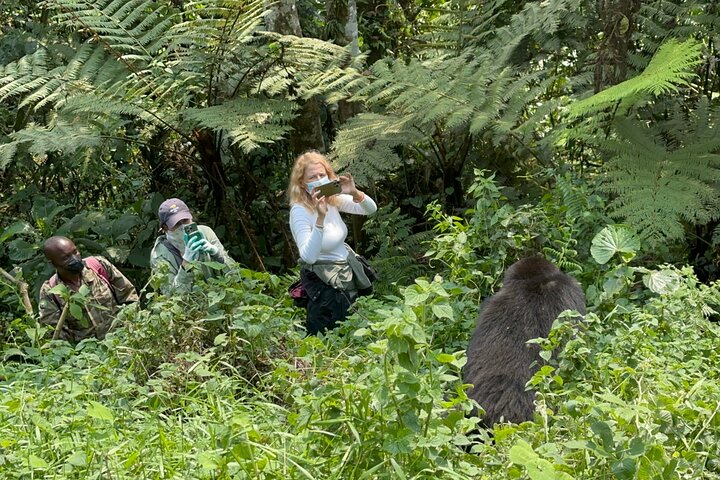 1 Day Gorilla Tracking Trip, Bwindi Impenetrable National Park