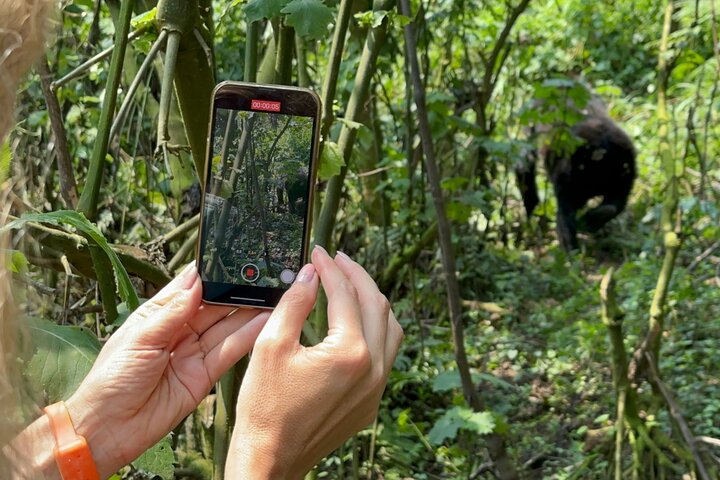 1 Day Gorilla Tracking Trip, Bwindi Impenetrable National Park