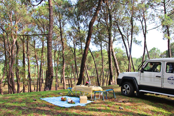 Jeep Safari and Picnic Tour
