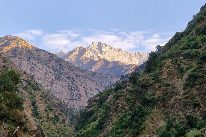 Jeep Safari and Picnic Tour