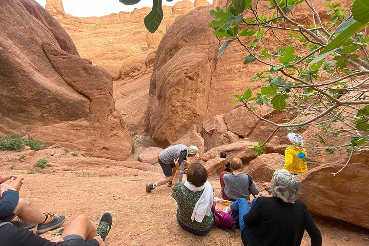Private Hike and trek in Gorge Dades-Monkey Fingers Canyon