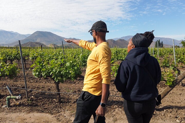 Inca Lagoon in Andes Mountain Range - Visit Local Vineyard with Tasting included